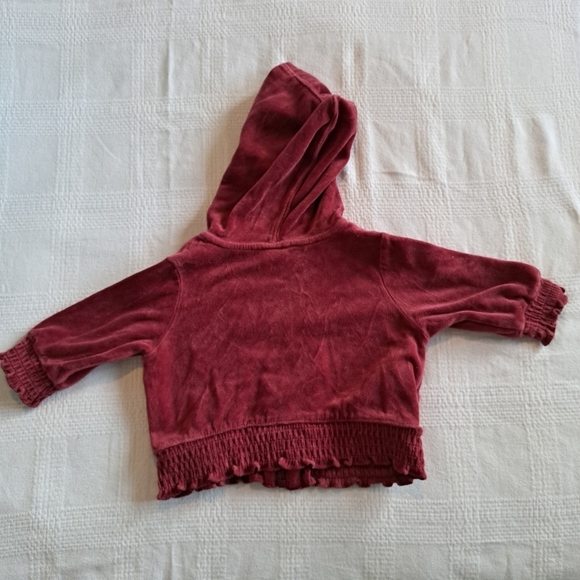Gymboree velour hoodie Primrose Line 6-12 months - Picture 2 of 4